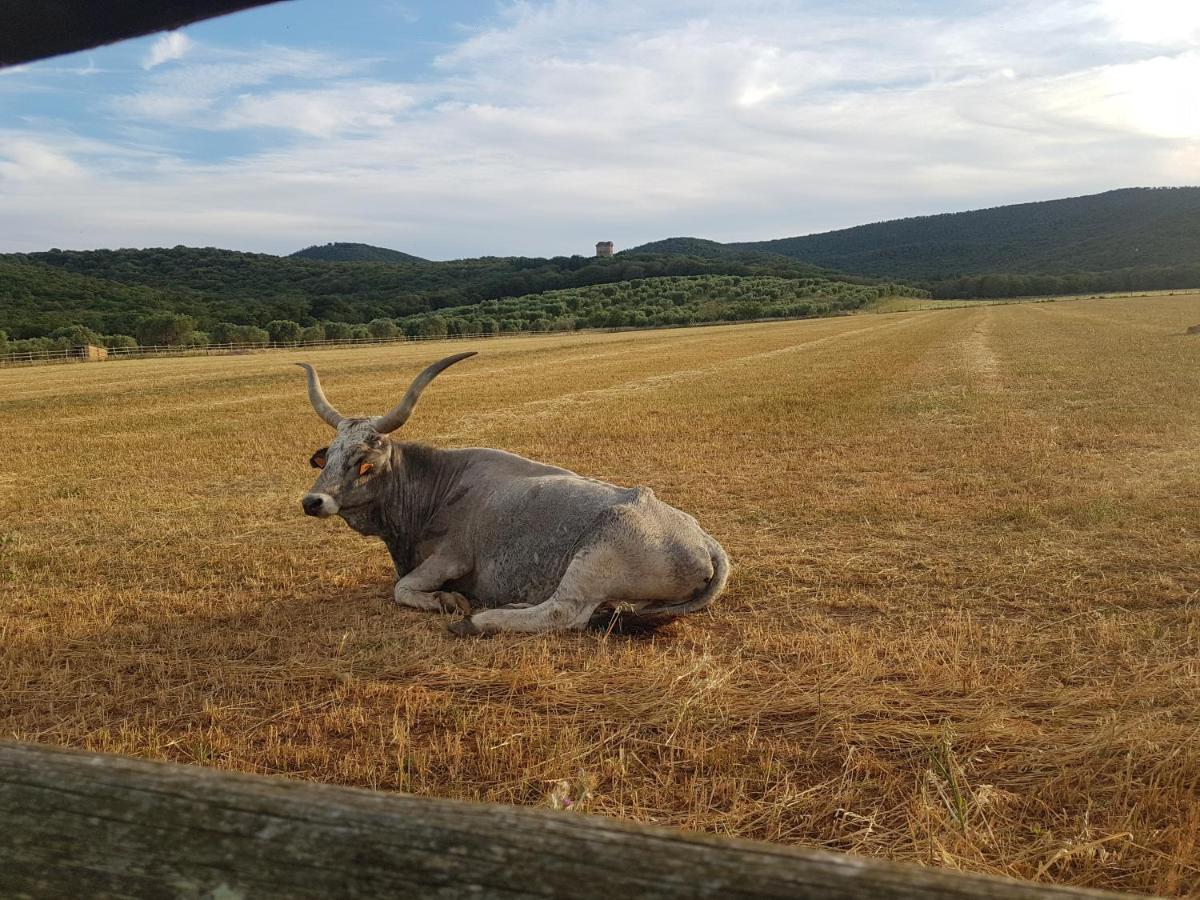 Tenuta Agricola Dell'Uccellina Magliano in Toscana Bagian luar foto