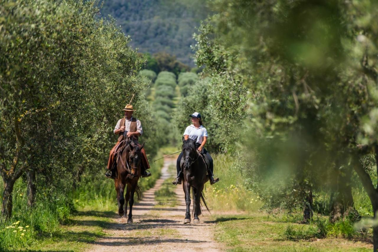 Tenuta Agricola Dell'Uccellina Magliano in Toscana Bagian luar foto