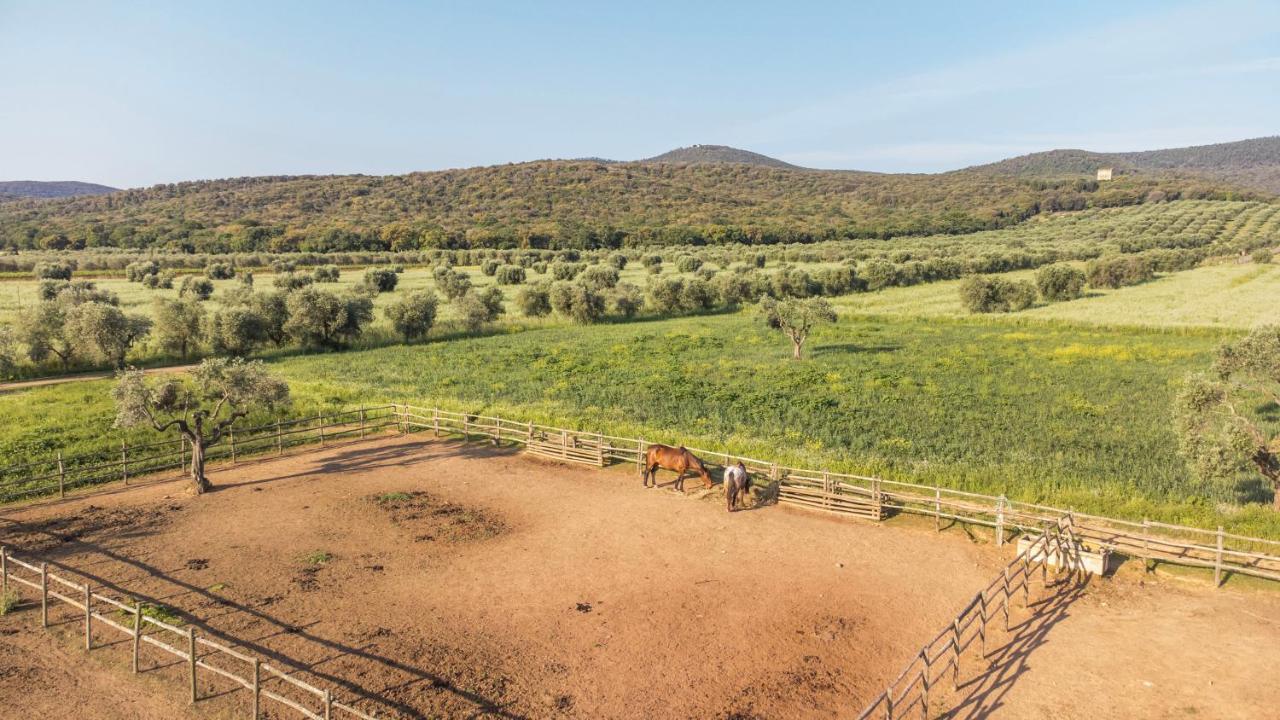 Tenuta Agricola Dell'Uccellina Magliano in Toscana Bagian luar foto