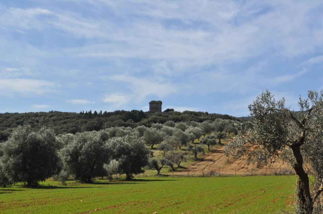 Tenuta Agricola Dell'Uccellina Magliano in Toscana Bagian luar foto